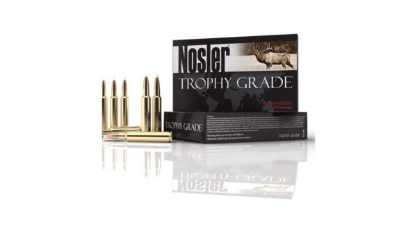 opplanet nosler trophy grade 243 win 100gr partition brass centerfire shotgun ammunition 20 rounds 61046 main